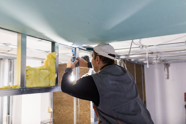 Best Home Insulation Services  in Madison, IL