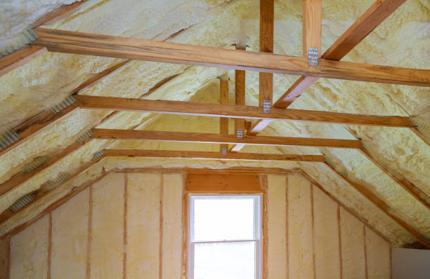 Best Insulation Repair Services  in Madison, IL