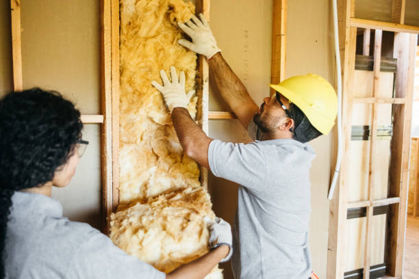 Best Insulation Removal  in Madison, IL